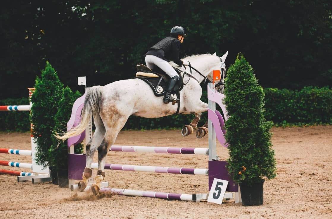 Grey horse clearing an oxer in a show jumping round