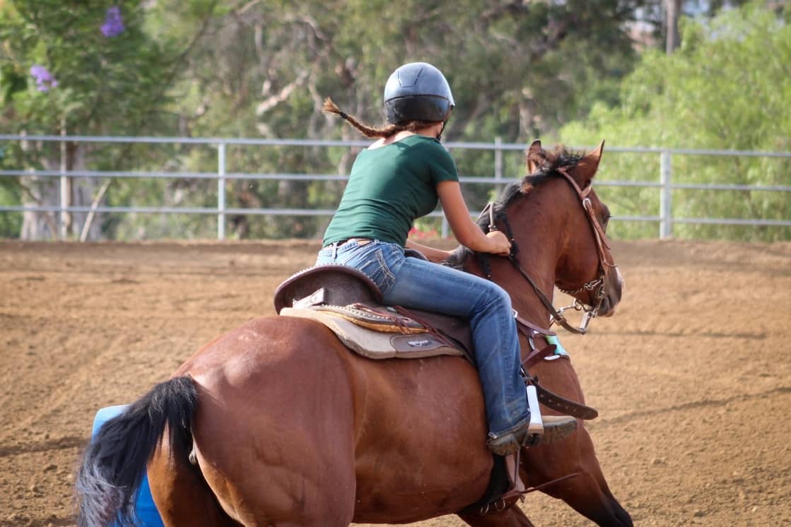Rider schooling her bay at a working trot in the arena