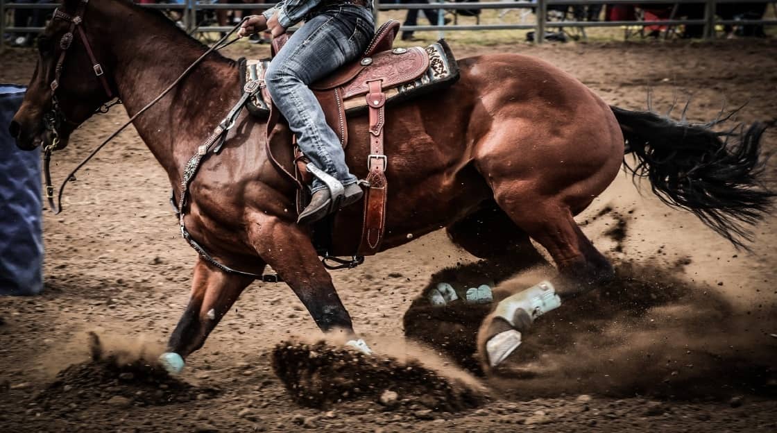 Rider sitting deep as her horse slides to a stop in the dirt